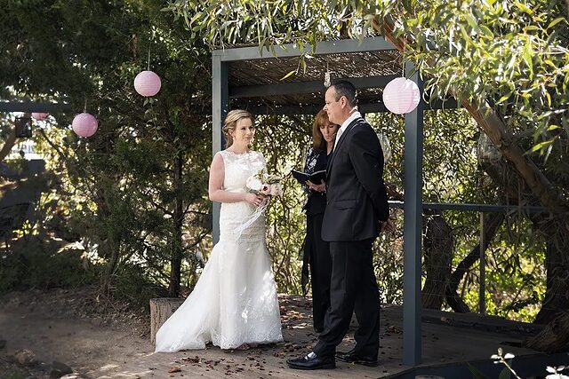 Looking Glass Garden