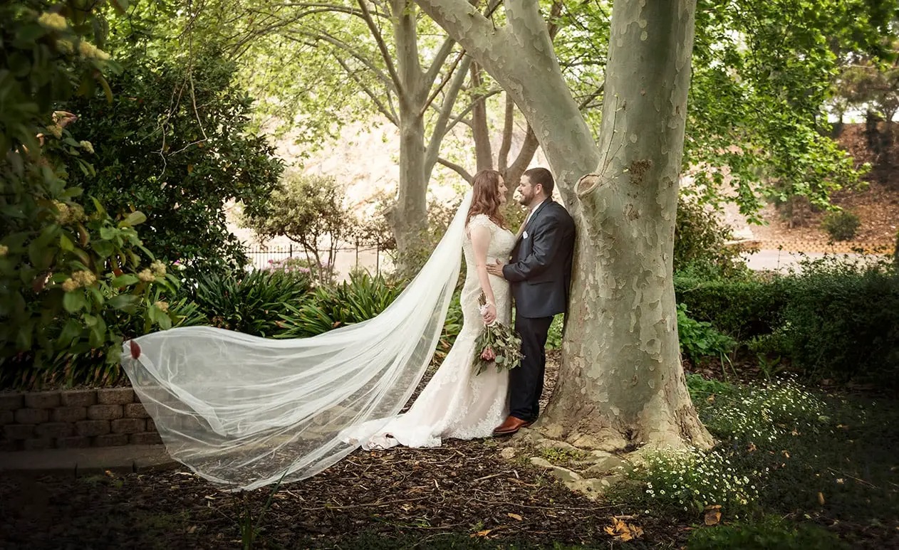 bride-and-groom-against-a-tree-a