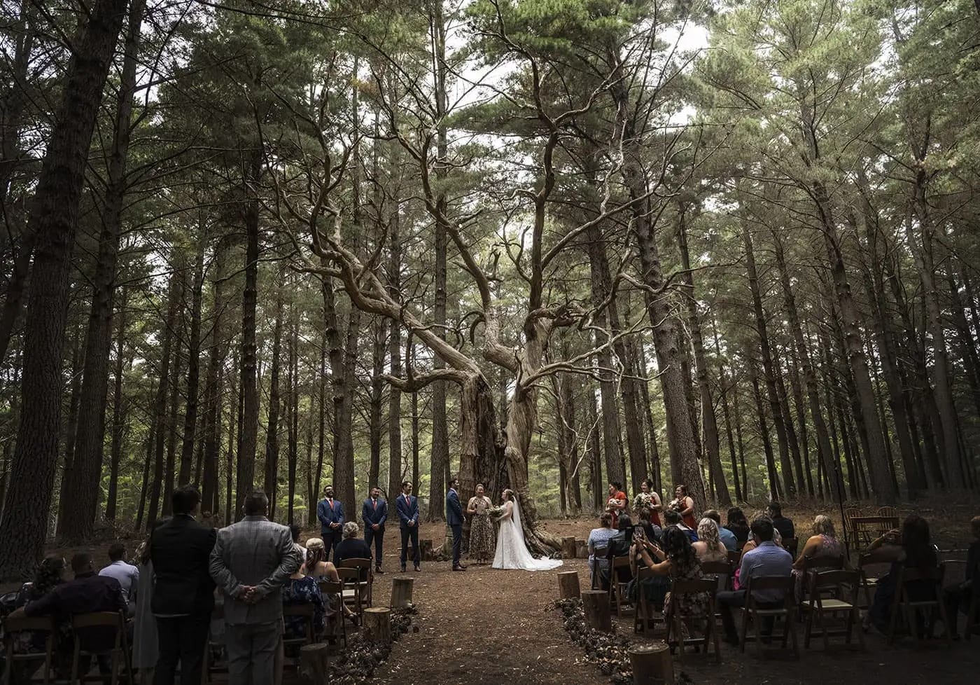 burbrook-kuitpo-forest-wedding-c