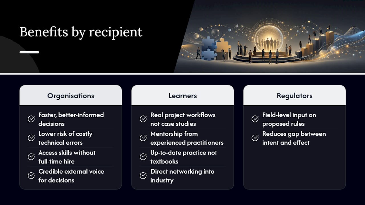 What is the role of industry professionals in an organisation? 2 What benefits do industry professionals deliver? — overview diagram