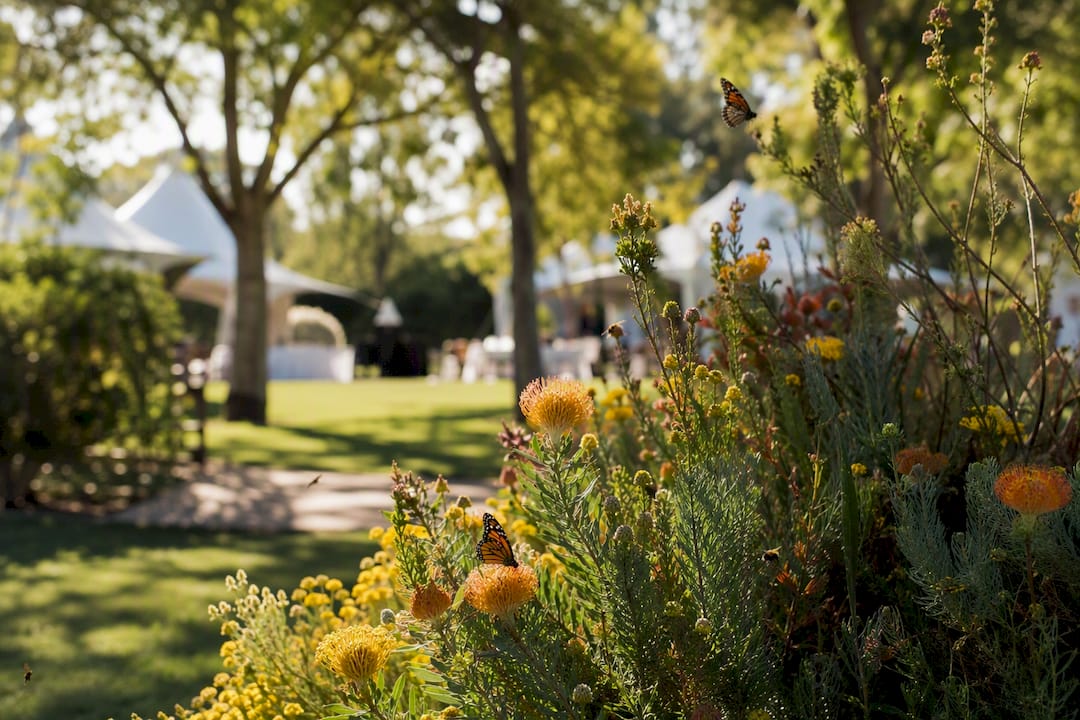 Adelaide wedding weather: your season-by-season guide 2 Close-up of pollen covered grass at spring wedding