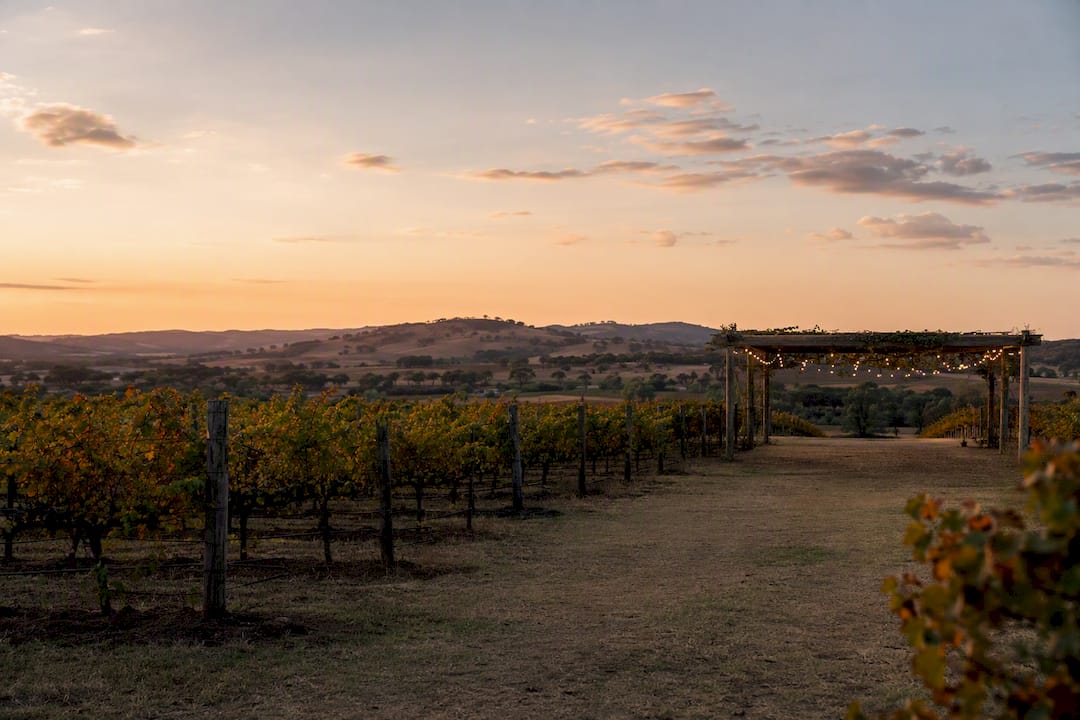 Destination weddings South Australia: venue ideas & planning checklist 2 Vineyard sunset at Barossa Valley wedding venue