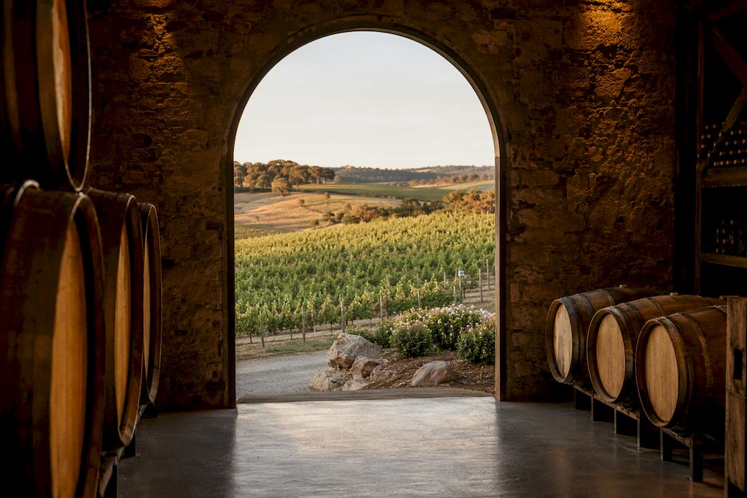 Photographer Steven's 3 Bucket Checklist: Adelaide Hills or Barossa 1 Barossa vineyard rows and barrel room