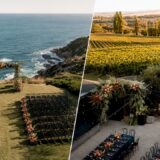 Coastal and winery wedding settings compared